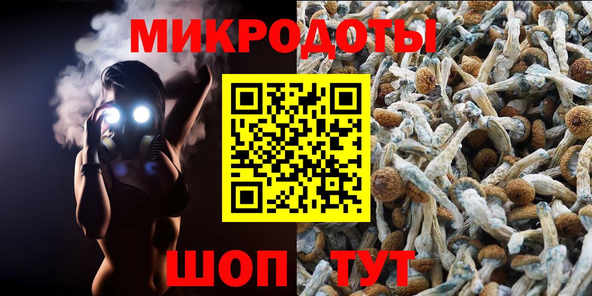 Галлюциногенные грибы GOLDEN TEACHER Серпухов