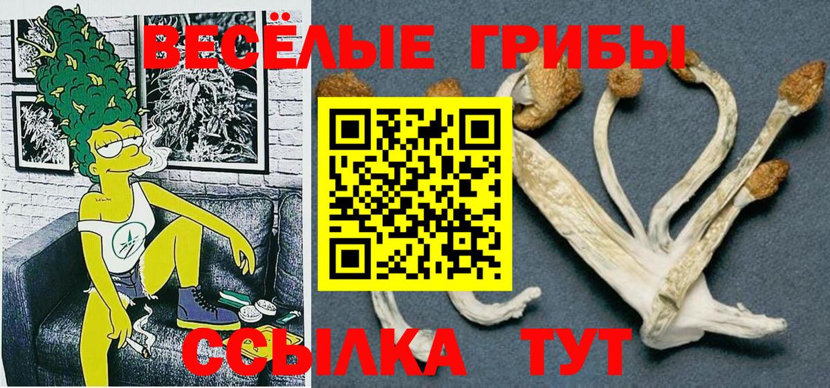 Галлюциногенные грибы Psilocybe  Вход с VPN  Галлюциногенные грибы Magic Shrooms  Серпухов 